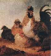 CUYP, Aelbert Rooster and Hens dfg oil